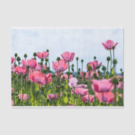 Pink Poppies Seidenpapier