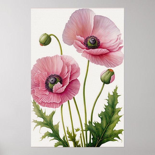 Pink Poppy Blume Art Print Poster (Vorne)