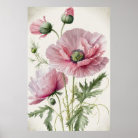 Pink Poppy Blume Art Print Poster