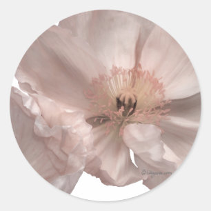 Pink Poppy Hochzeit Einladung Siegel Runder Aufkleber