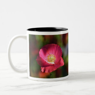 Pink Poppy in der Sonnenscheinfotografie Zweifarbige Tasse