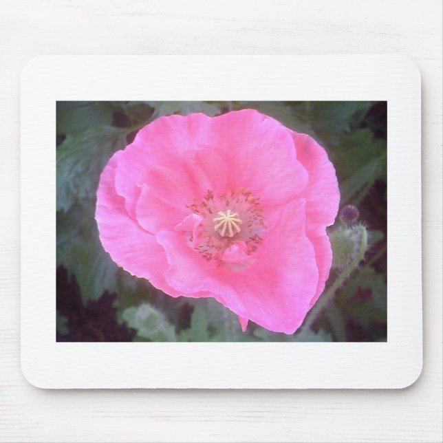 Pink Poppy Mousepad (Vorne)