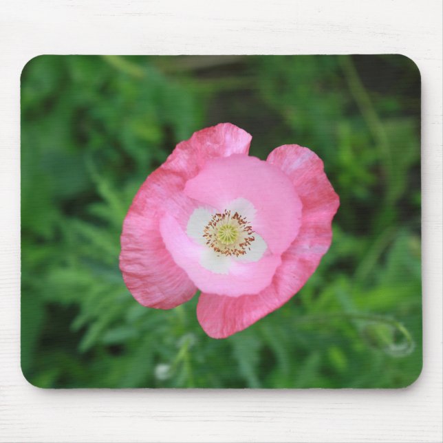Pink Poppy Mousepad (Vorne)