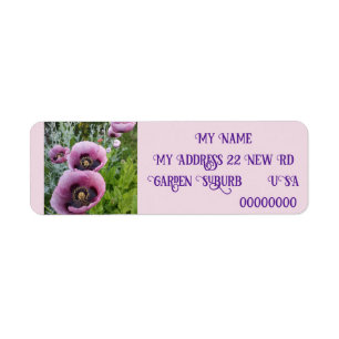 Pink Poppy Poppies Foto Rücksendeadressen-Aufklebe