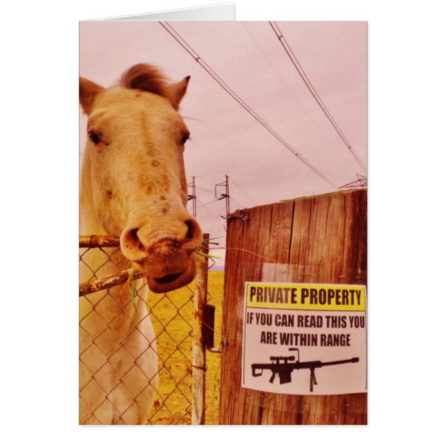 Pink Private Property Horse (Devant)