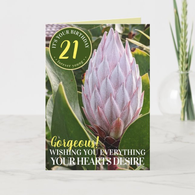 Pink Protea Blume Happy Birthday Card Karte (Vorderseite)