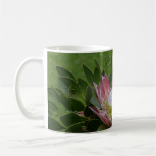 Pink Protea Blume Kaffeetasse
