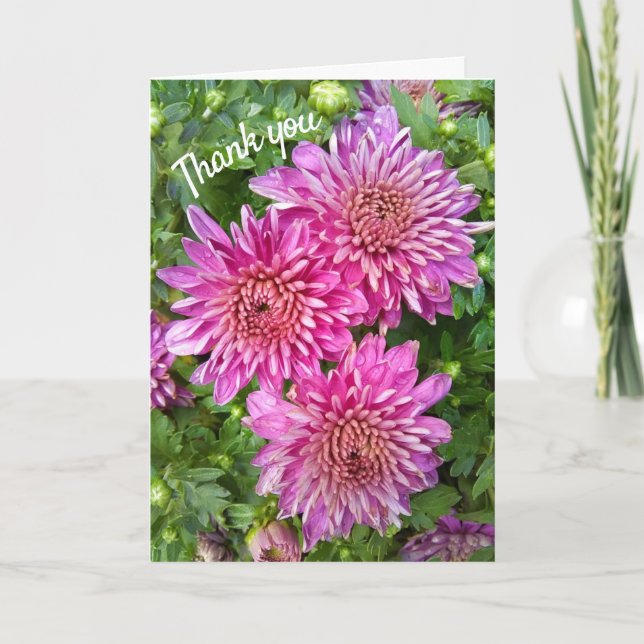 Pink-Purple Chrysanthemums with Raindrops Dankeskarte (Vorderseite)