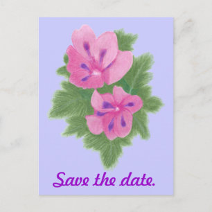 Pink Purple Geranium Enregistrer la date Cartes po