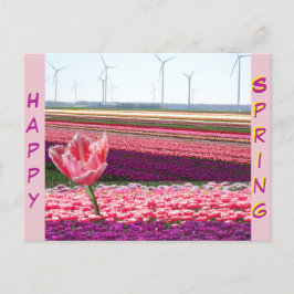 Pink Purple Tulips Champ Bonne Carte Postale Print
