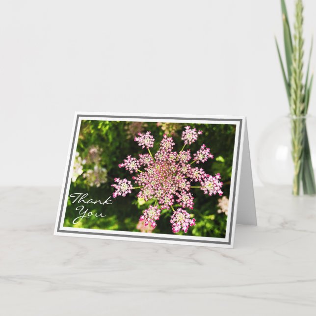 Pink Queen Anne's Spitzen-Blume mit grünen Folien Karte (Vorderseite)