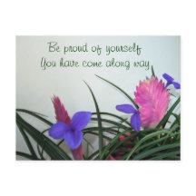 Pink Quill Pflanze Postkarte