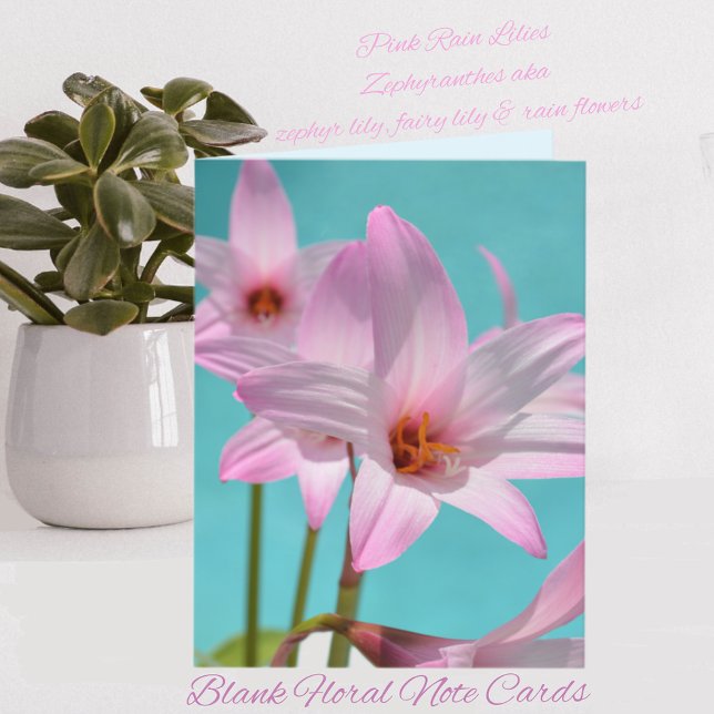 Pink Rain Lilies Aqua Blank (Von Creator hochgeladen)