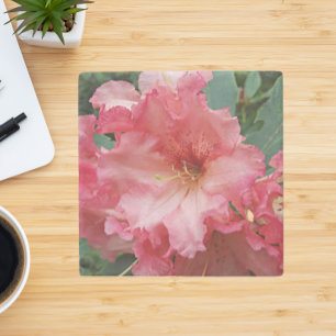 Pink Rhododendron Bloom Floral Steinuntersetzer
