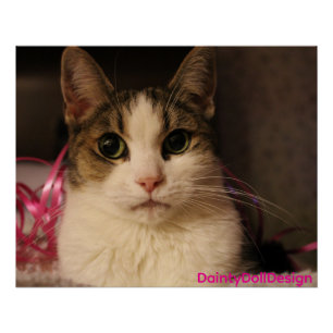 Pink Ribbon Edition: Dainty Doll in sanftem Porträ Poster