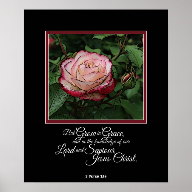 Pink Rose Bible Verse Artwork Wall Art / Poster (Vorne)