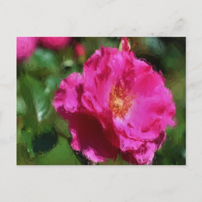 Pink Rose Chalk Zeichnend florale Postkarte (Vorderseite)
