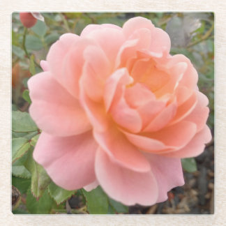 Pink Rose Coster Glasuntersetzer