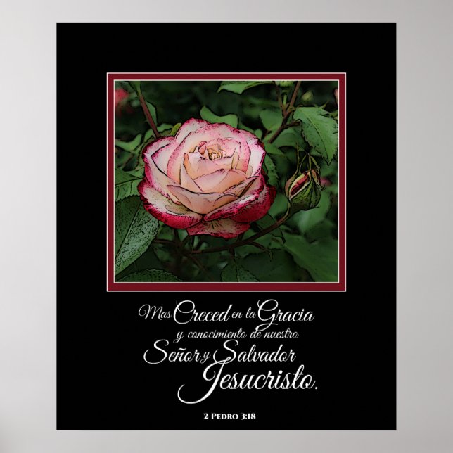 Pink Rose Espagnol Bible Verset Artwork Poster (Devant)