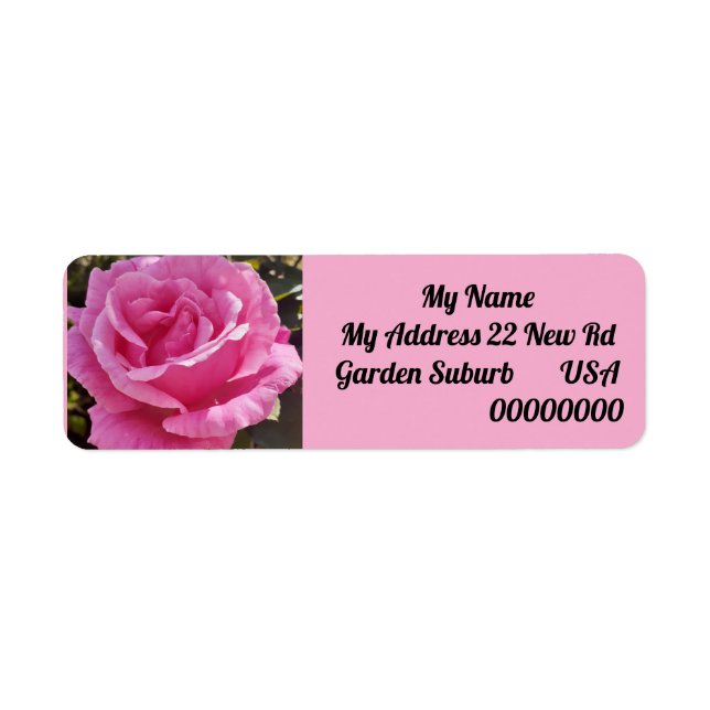 Pink Rose Flower Floral Return Address Labels (Vorne)