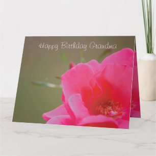 Pink Rose Happy Birthday Oma Karte