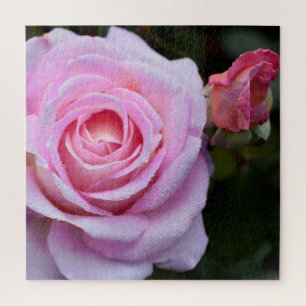 Pink Rose Jigsaw Puzzle