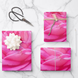 Pink Rose "Leonardo Da Vinci" Geschenkpapier Set