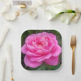 Pink Rose "Leonardo Da Vinci" Pappteller