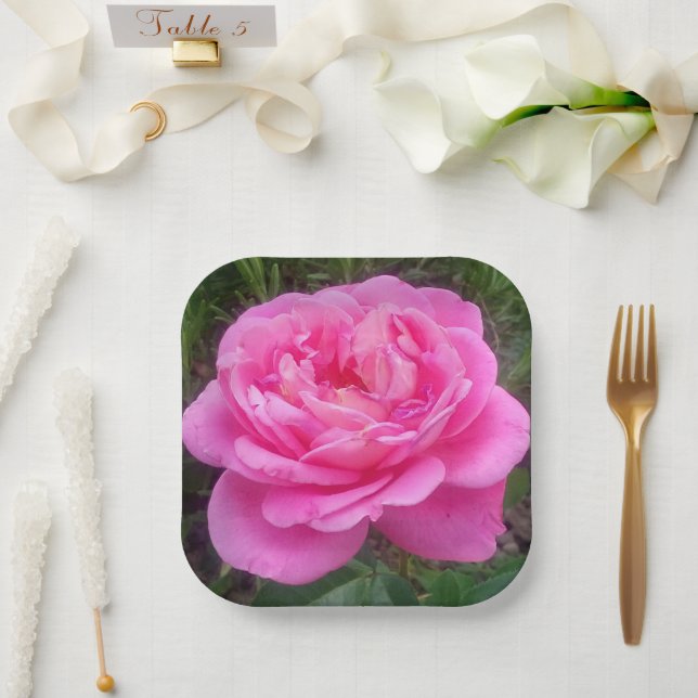 Pink Rose "Leonardo Da Vinci" Pappteller (Hochzeit)