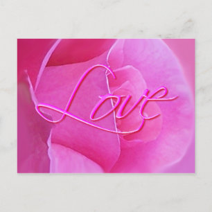 PINK ROSE & LIEBE von SHARON SHARPE Postkarte