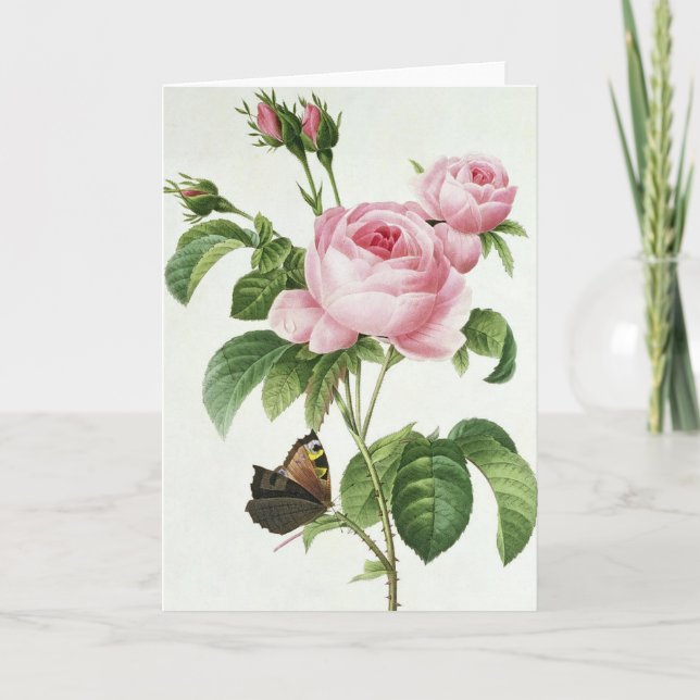 Pink Rose Pierre-Joseph Redoute Grußkarte Karte (Vorderseite)