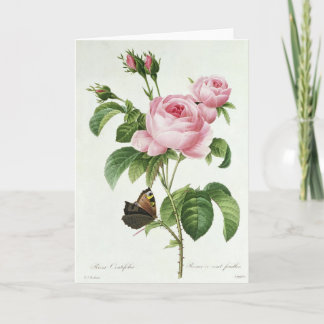Pink Rose Pierre-Joseph Redoute Grußkarte Karte