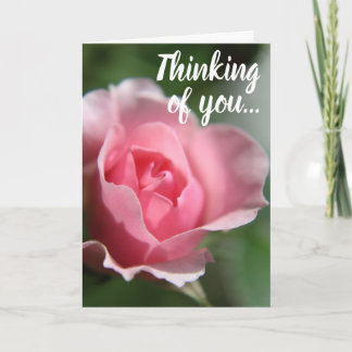 Pink Rose Thinking of You Card Karte