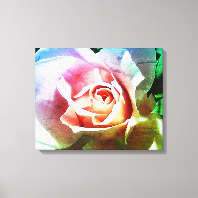 Pink Rose überwölbte Leinwand Print (Vorderseite)