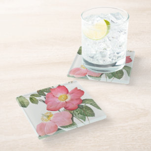 Pink Roses Blume Pierre Redoute Glass Untersetzer
