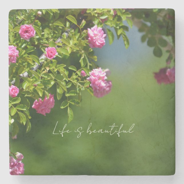 Pink Roses Floral (photography by me) Steinuntersetzer (Vorderseite)