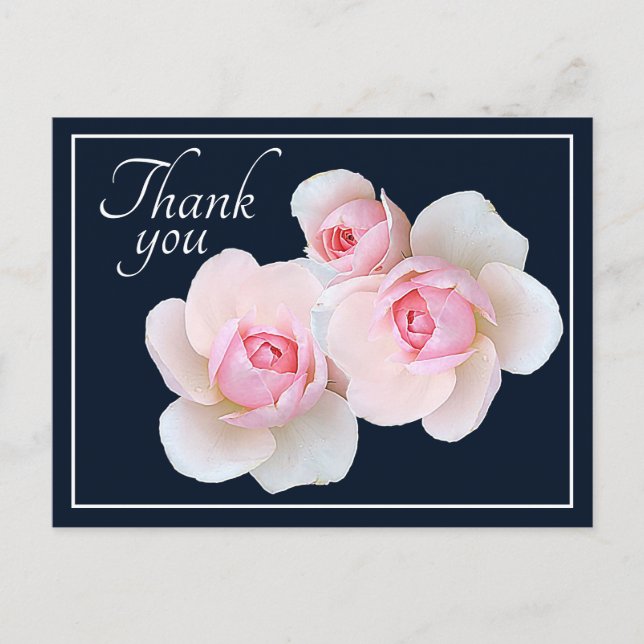 Pink Roses Navy Hintergrund Danke Postkarte (Vorderseite)