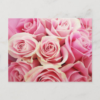 Pink Roses Rose Bouquet Rosey Pink Blume Bush Postkarte
