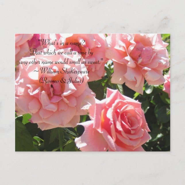 Pink Roses Shakespeare Zitat Postkarte (Vorderseite)