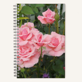 Pink Roses Spiral  Notizbuch