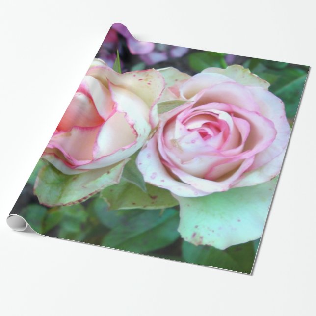 Pink Roses Wrapping Paper Geschenkpapier (Ungerollt)