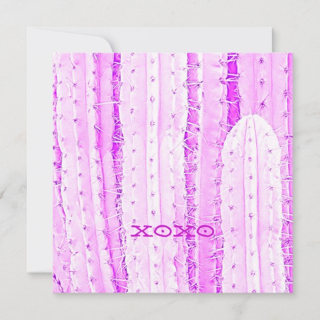 Pink Saguaro Cactus XOXO Foto Kunst Spaß Karte (Vorderseite)