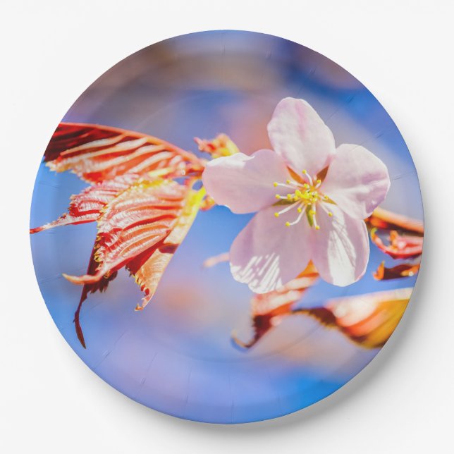 Pink Sakura Blume Blue Sky Pappteller (Vorderseite)