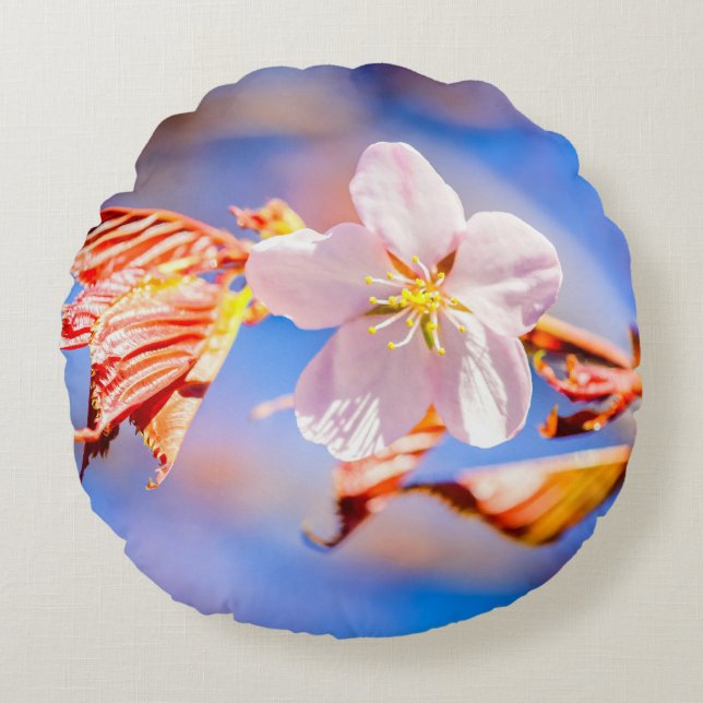 Pink Sakura Blume Blue Sky Rundes Kissen (Vorderseite)