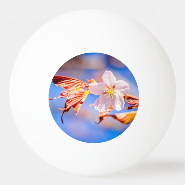 Pink Sakura Blume Blue Sky Tischtennisball (Vorderseite)