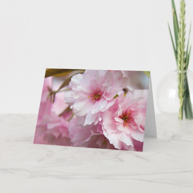 Pink Sakura Flowers Karte (Vorderseite)