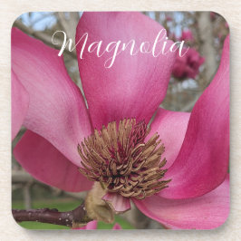 Pink Saucer Magnolia Blossom Floral Getränkeuntersetzer