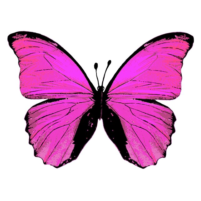 Pink-Schmetterlingspapier Seidenpapier (Von Creator hochgeladen)