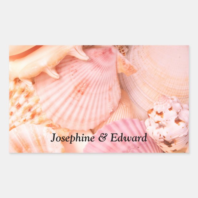 Pink Seashells Rechteckiger Aufkleber (Vorderseite)
