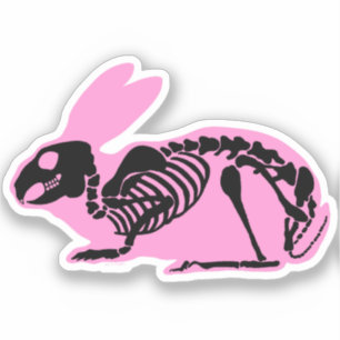 Pink Skeleton Rabbit Aufkleber
